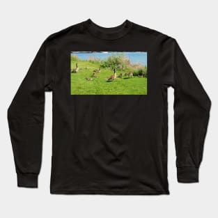 Canada Goose Family Resting On The Grass Long Sleeve T-Shirt